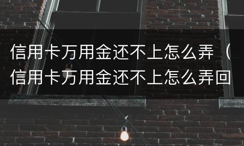 信用卡万用金还不上怎么弄（信用卡万用金还不上怎么弄回来）