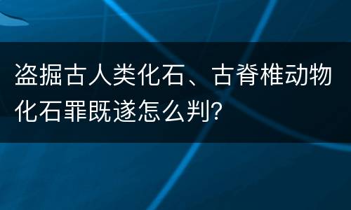 盗掘古人类化石、古脊椎动物化石罪既遂怎么判？