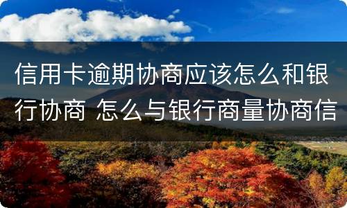 信用卡逾期协商应该怎么和银行协商 怎么与银行商量协商信用卡逾期还款事宜