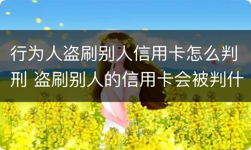 行为人盗刷别人信用卡怎么判刑 盗刷别人的信用卡会被判什么刑?