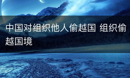 中国对组织他人偷越国 组织偷越国境