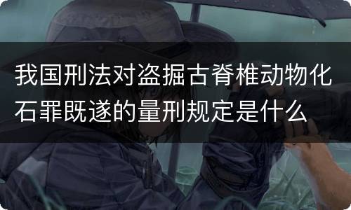 我国刑法对盗掘古脊椎动物化石罪既遂的量刑规定是什么