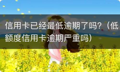 信用卡已经最低逾期了吗?（低额度信用卡逾期严重吗）