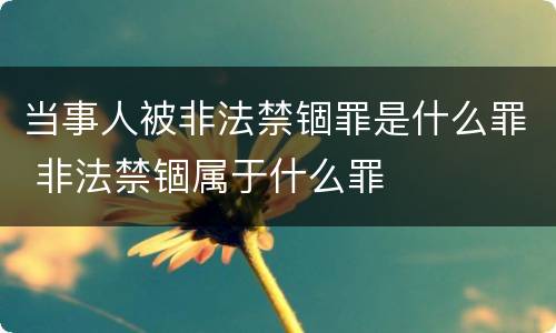 当事人被非法禁锢罪是什么罪 非法禁锢属于什么罪