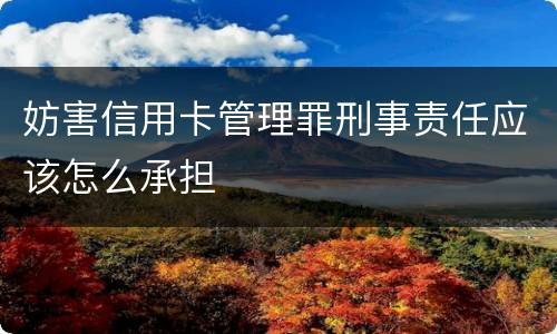妨害信用卡管理罪刑事责任应该怎么承担
