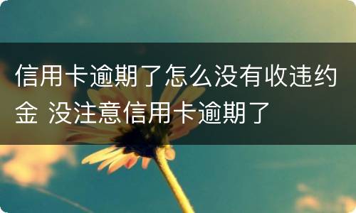 信用卡逾期了怎么没有收违约金 没注意信用卡逾期了