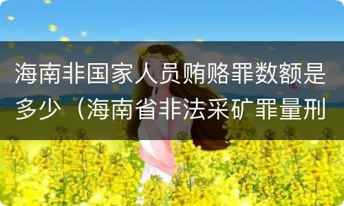 海南非国家人员贿赂罪数额是多少（海南省非法采矿罪量刑标准）