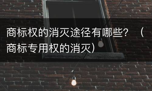 商标权的消灭途径有哪些？（商标专用权的消灭）