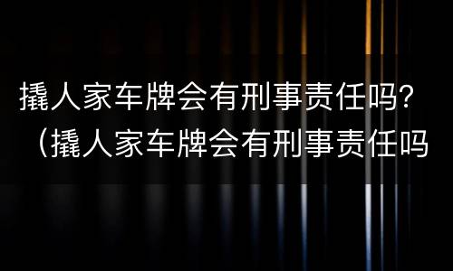 撬人家车牌会有刑事责任吗？（撬人家车牌会有刑事责任吗怎么处理）