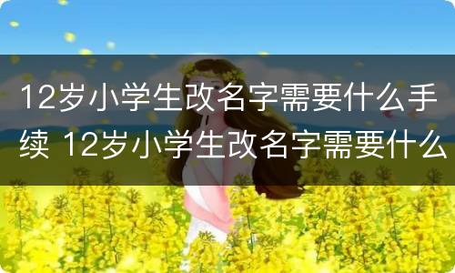 12岁小学生改名字需要什么手续 12岁小学生改名字需要什么手续和证件