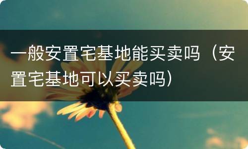 一般安置宅基地能买卖吗（安置宅基地可以买卖吗）