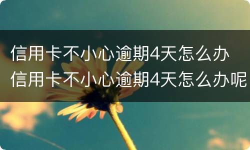 信用卡不小心逾期4天怎么办 信用卡不小心逾期4天怎么办呢