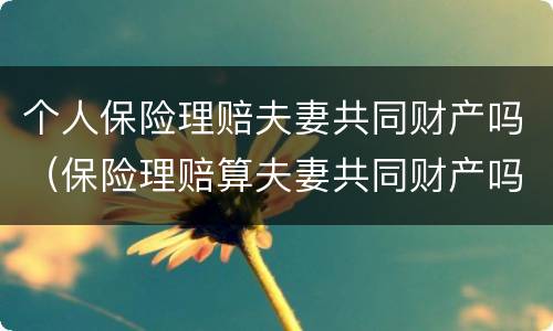 个人保险理赔夫妻共同财产吗（保险理赔算夫妻共同财产吗）