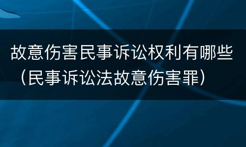 故意伤害民事诉讼权利有哪些（民事诉讼法故意伤害罪）