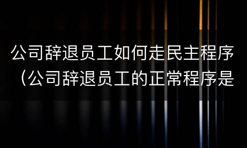 公司辞退员工如何走民主程序（公司辞退员工的正常程序是什么?）