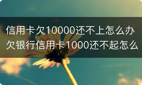 信用卡欠10000还不上怎么办 欠银行信用卡1000还不起怎么办
