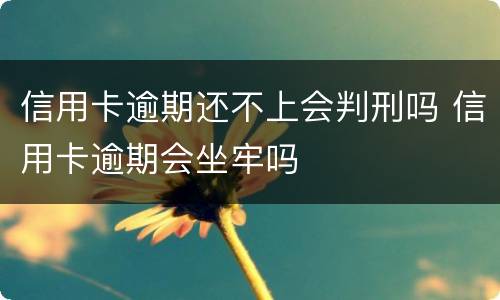 信用卡逾期还不上会判刑吗 信用卡逾期会坐牢吗