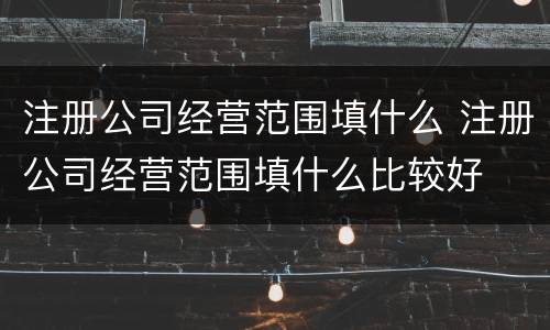 注册公司经营范围填什么 注册公司经营范围填什么比较好