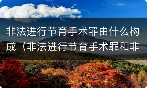 非法进行节育手术罪由什么构成（非法进行节育手术罪和非法行医罪）