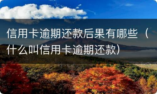 信用卡逾期还款后果有哪些（什么叫信用卡逾期还款）