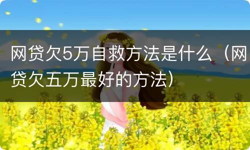 网贷欠5万自救方法是什么（网贷欠五万最好的方法）
