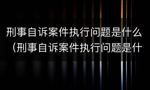 刑事自诉案件执行问题是什么（刑事自诉案件执行问题是什么意思）