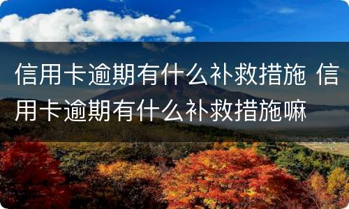 信用卡逾期有什么补救措施 信用卡逾期有什么补救措施嘛