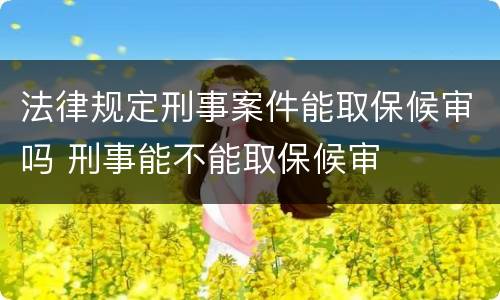 法律规定刑事案件能取保候审吗 刑事能不能取保候审