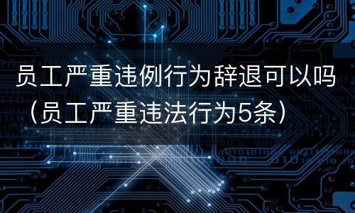 员工严重违例行为辞退可以吗（员工严重违法行为5条）
