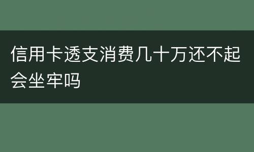 信用卡透支消费几十万还不起会坐牢吗