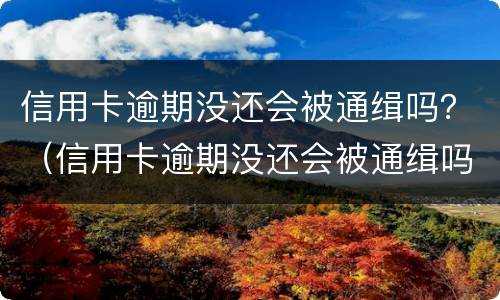 信用卡逾期没还会被通缉吗？（信用卡逾期没还会被通缉吗知乎）
