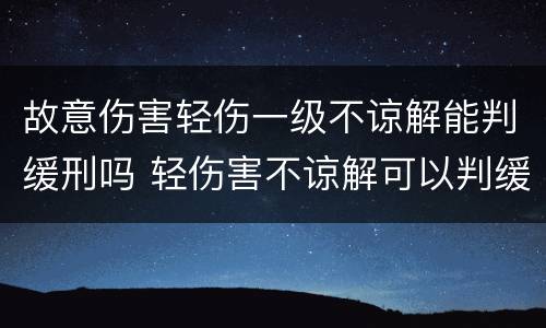 故意伤害轻伤一级不谅解能判缓刑吗 轻伤害不谅解可以判缓刑吗
