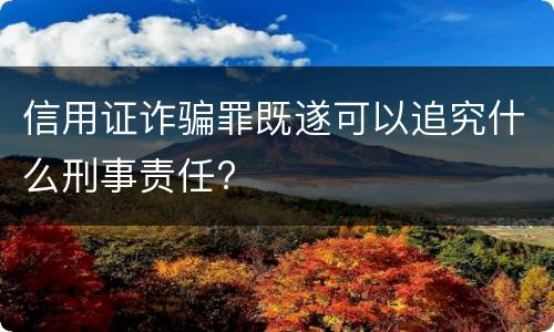 信用证诈骗罪既遂可以追究什么刑事责任?