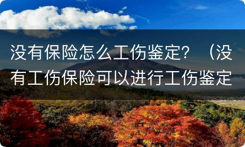 没有保险怎么工伤鉴定？（没有工伤保险可以进行工伤鉴定吗?）