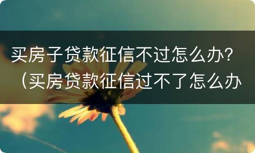 买房子贷款征信不过怎么办？（买房贷款征信过不了怎么办）