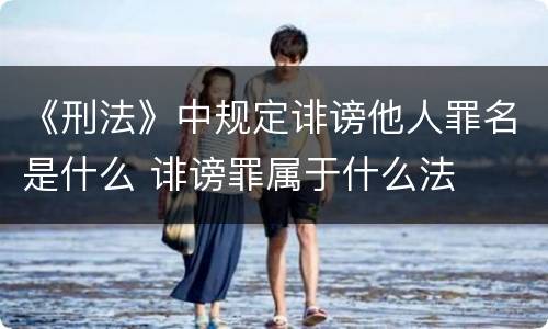 《刑法》中规定诽谤他人罪名是什么 诽谤罪属于什么法