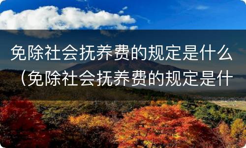 免除社会抚养费的规定是什么（免除社会抚养费的规定是什么意思）