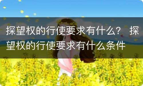 探望权的行使要求有什么？ 探望权的行使要求有什么条件