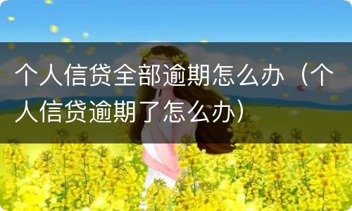个人信贷全部逾期怎么办（个人信贷逾期了怎么办）