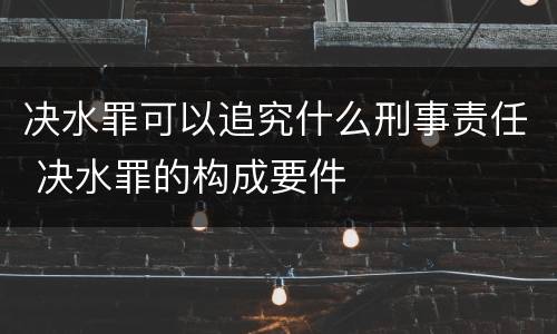 决水罪可以追究什么刑事责任 决水罪的构成要件