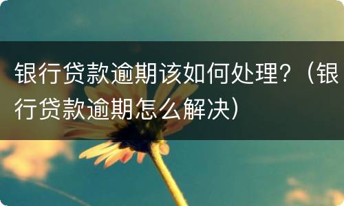 银行贷款逾期该如何处理?（银行贷款逾期怎么解决）