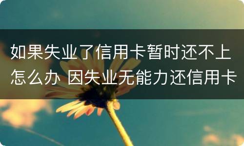 如果失业了信用卡暂时还不上怎么办 因失业无能力还信用卡