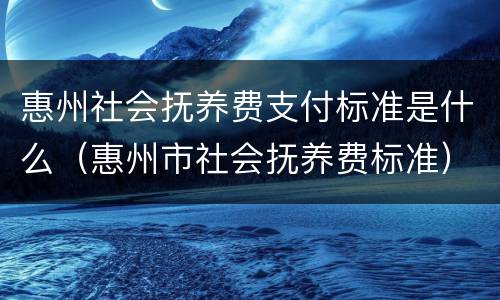 惠州社会抚养费支付标准是什么（惠州市社会抚养费标准）