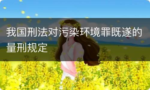 我国刑法对污染环境罪既遂的量刑规定