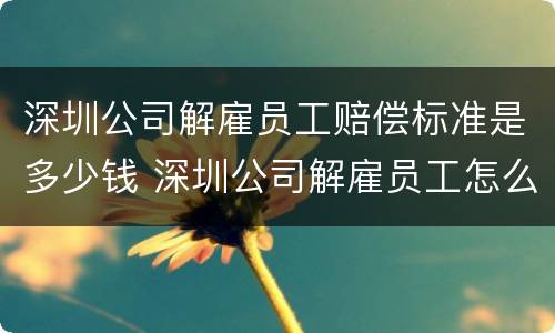 深圳公司解雇员工赔偿标准是多少钱 深圳公司解雇员工怎么赔偿