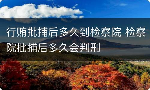 行贿批捕后多久到检察院 检察院批捕后多久会判刑