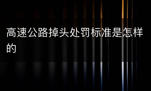 高速公路掉头处罚标准是怎样的