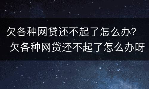 欠各种网贷还不起了怎么办？ 欠各种网贷还不起了怎么办呀