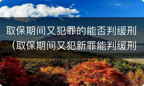取保期间又犯罪的能否判缓刑（取保期间又犯新罪能判缓刑吗）