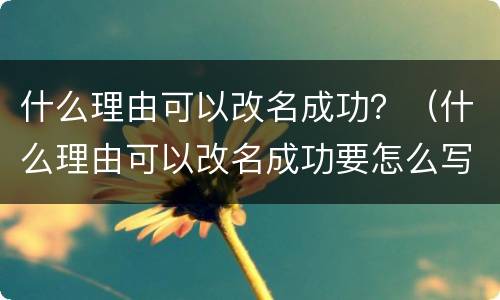 什么理由可以改名成功？（什么理由可以改名成功要怎么写呀,小伙伴们出出主意）